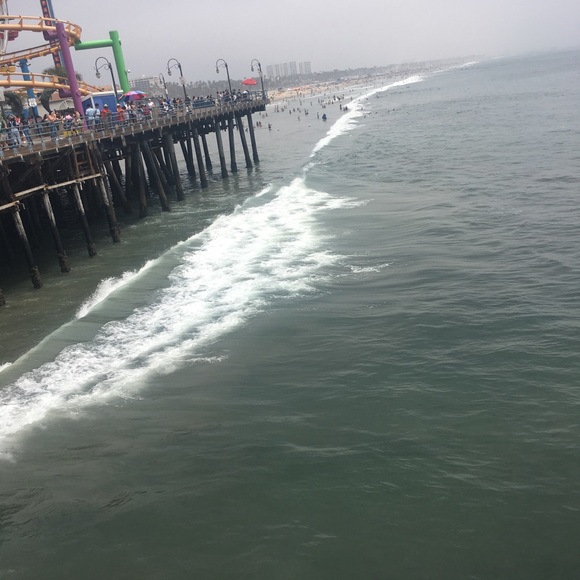 Meet your Posher, Lessly - Picture 1 of 1